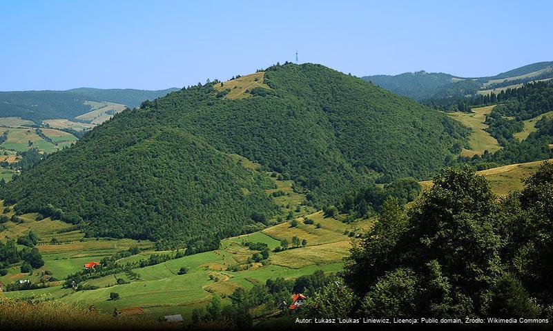 Andrzejówka (polana)