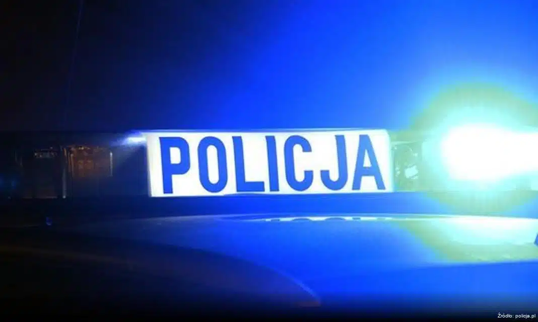 Nietrzeźwi mężczyźni przywłaszczyli busa i uszkodzili ogrodzenie