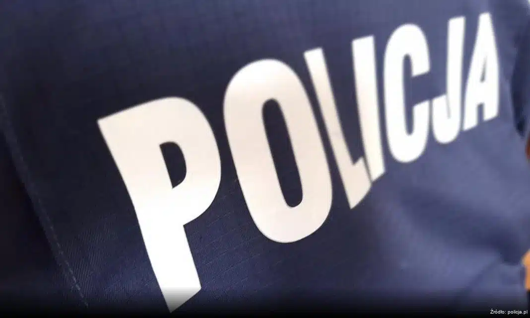 Kontrola sprzedaży choinek w Krościenku nad Dunajcem w ramach akcji „Choinka 2025”