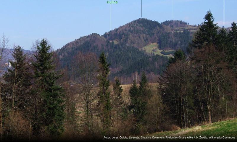 Palenica (Pieniny)