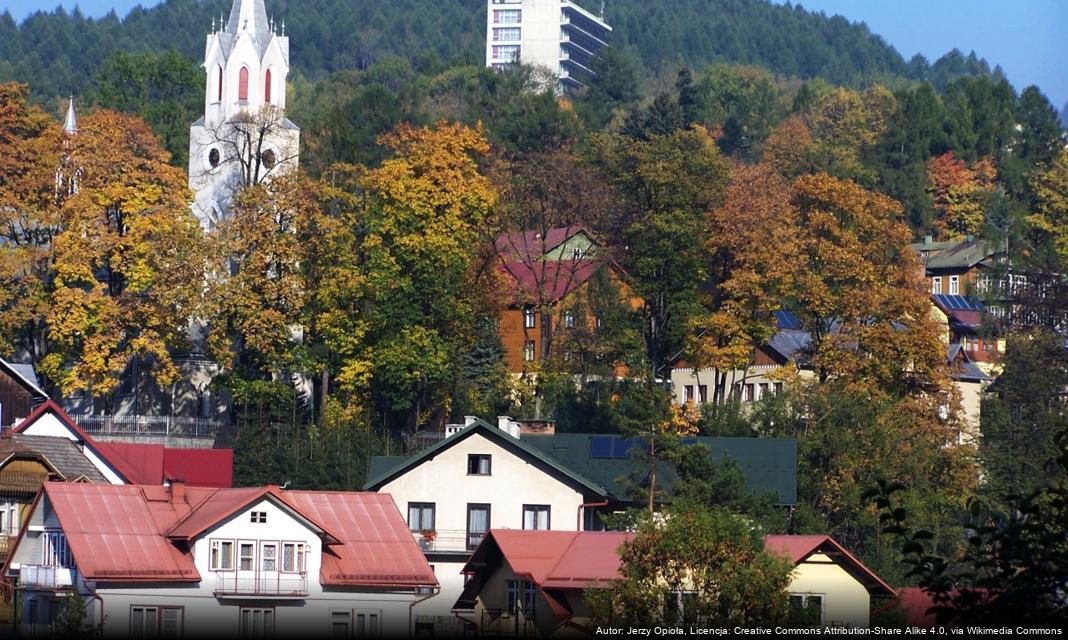 Ogłoszenie o zimowym utrzymaniu dróg w Szczawnicy