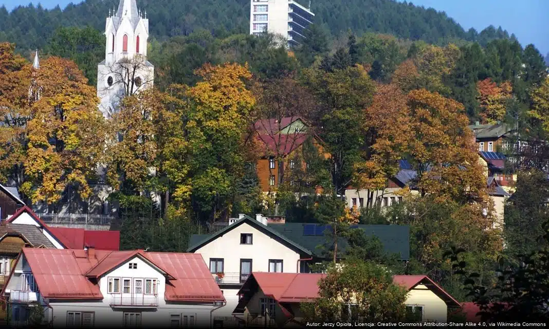 Utrudnienia w ruchu drogowym na ul. Biała Woda w Jaworkach